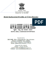 DIP Una PDF
