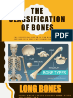 ANAPHY - Skeletal System