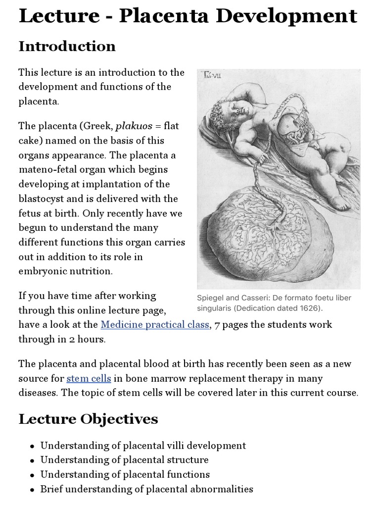 Placenta Development Lecture 2018 PDF | PDF | Placenta | Implantation ...