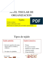 2 Nivel Tisular de Organizacion PDF