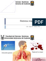 Sistema Respiratorio PDF