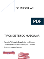Tejido Muscular PDF