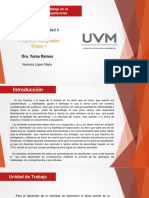 Actividad 4-Proyecto Integrador-Etapa 1-VLM