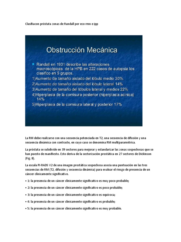 Clasifiacon próstata zonas de Randall por eco rmn e ipp | PDF
