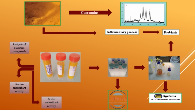 Graphical Abstract | PDF