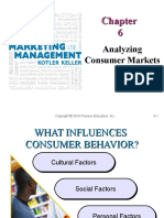 Analyzing Consumer Markets