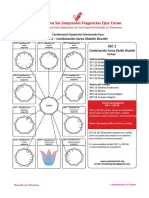 Combinaciones Sanjeevini em Formato Grafico