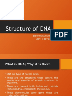 Structure of DNA To Be Uploaded