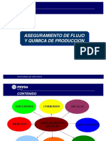Aseguramiento de flujo.pdf