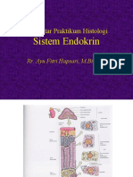 Pr Endokrin modul Metabolisme PSPD 07