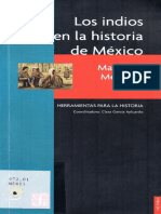 2006 La indios en la historia de Mexico