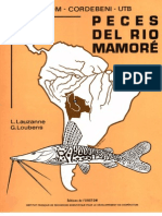 Peces Del Rio Mamoré-Orstom