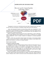 TRANSPLANTAREA CELULELOR STEM.docx