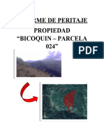 INFORME DE PERITAJE.docx