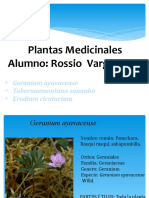 Plantas Medicinales Rossio