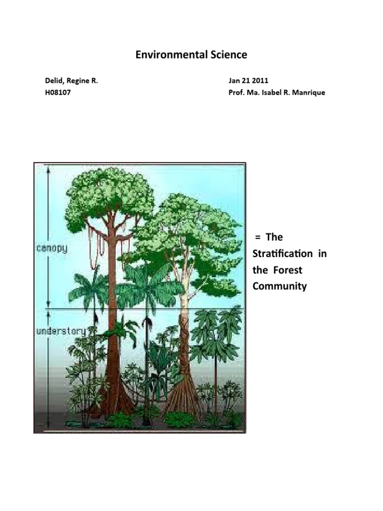 Forest and Aquatic Community Stratification | PDF