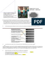TALLER MITOSIS Y MEIOSIS - PDF Word