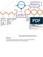 Mapa Conceptualdavid