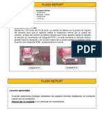 Flash Report PDF
