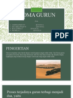 Bioma Gurun