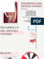 Ruleta Grupo 5 - Desarrollo Del Sistema Venoso