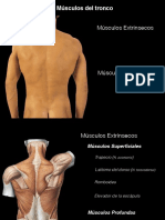 Anatomía-de-la-columna-vertebral-47-64