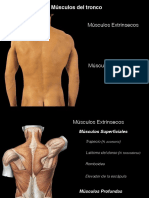 Anatomía de La Columna Vertebral 47 64