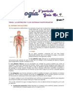 Nutrición y sistemas circulatorio y sanguíneo