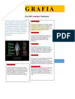 Infografia: Composición Química Del Cuerpo Humano