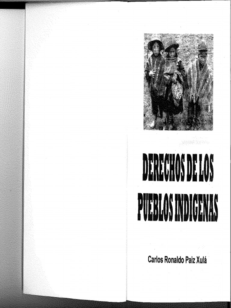 Derecho de Los Pueblos Indigenas PDF | PDF
