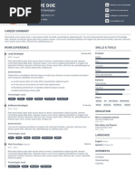 Pillar Sketch Resume Template PDF Preview PDF