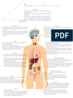 Sistema Endocrino 2 PDF