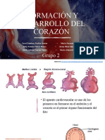 Formación Y Desarrollo Del Corazón: Grupo 2