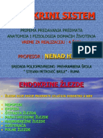 Endokrini Sistem