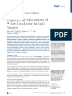 Kory N - Lipid Droplets - 16