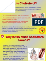 What is Cholesterol? Explained