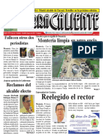 Periódico Tierra Caliente Edición 207