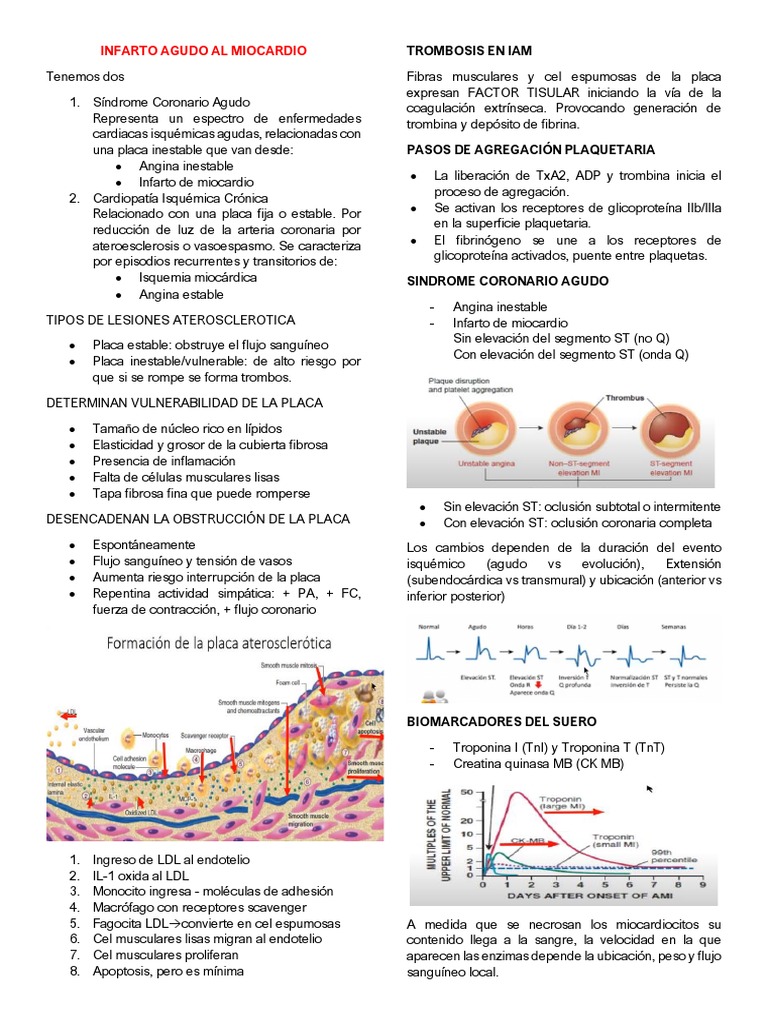 Prevención del Infarto de Miocardio | PDF | Infarto de miocardio | Plaqueta