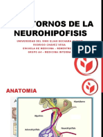 Diapos Neurohipofisis (Y)
