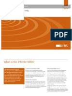 GuideTo IFRS for SMEs 2010 Oct