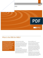 GuideTo IFRS For SMEs 2010 Oct