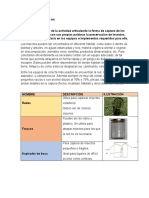 La Actividad Consiste en