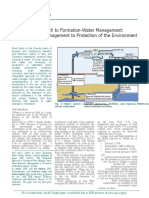 Integrated Approach To Formation-Water Management: From Reservoir Management To Protection of The Environment