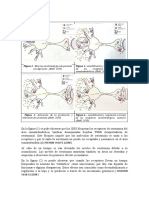 Figura 1.docx