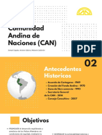 Comunidad Andina de Naciones (CAN)