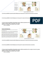 Exercice D'entraînement Possibilités Meiose Et Fécondation