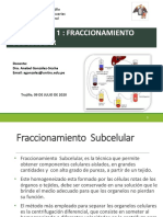 PRACTICA 1-Fraccionamiento subcelular.pdf
