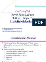 Lesson-5 Methods and Strategies of Research