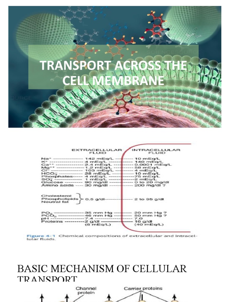 Cell Membrane Transport Mechanisms | PDF | Ion Channel | Cell Membrane