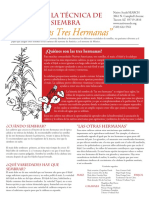 Las_Tres_Hermanas.pdf